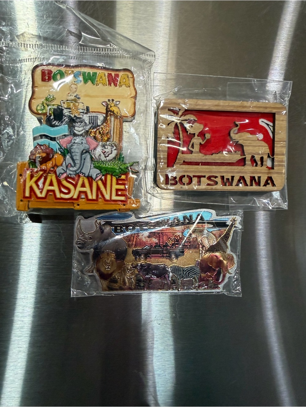 Botswana Animal Magnet Set - Colorful Safari Designs